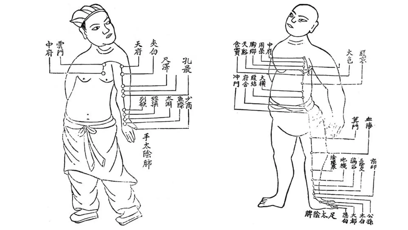 tai chi e medicina tradizionale cinese